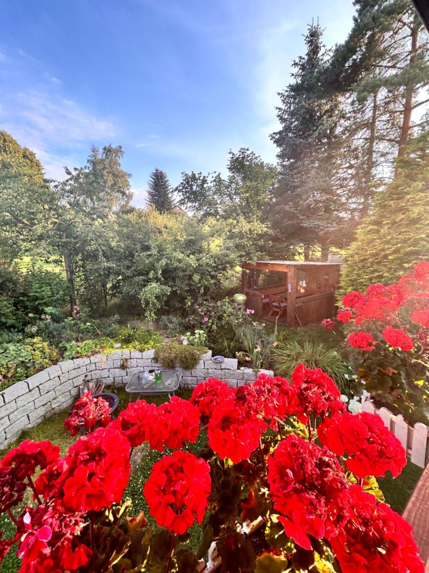 Ferienwohnung Mit Gartennutzung, Garage Und Wallbox Ebersbach-Neugersdorf Ngoại thất bức ảnh